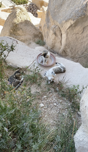 Bildschirmfoto 2024-04-01 um 18.45.56