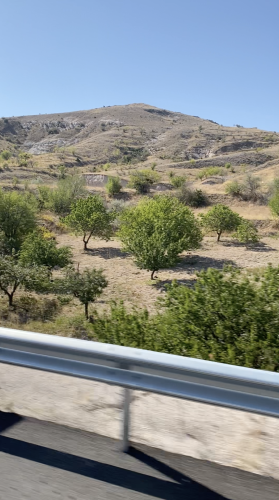 IMG_6975_MOV_Bildschirmfoto