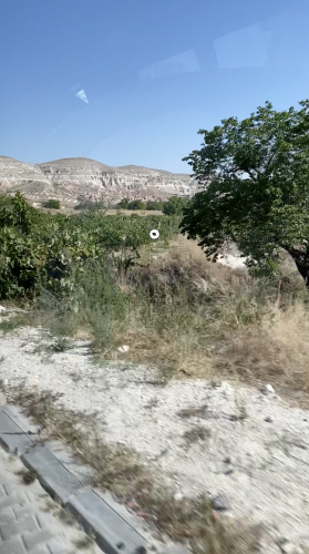 IMG_6976_MOV_Bildschirmfoto-3